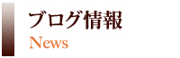 ブログ情報